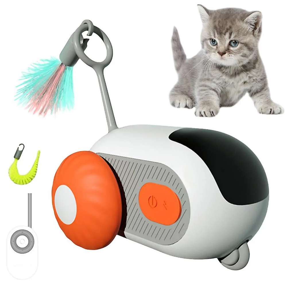 Micky™ - Gioco Interattivo per Gatti in Casa - Anti stress & Anti Noia