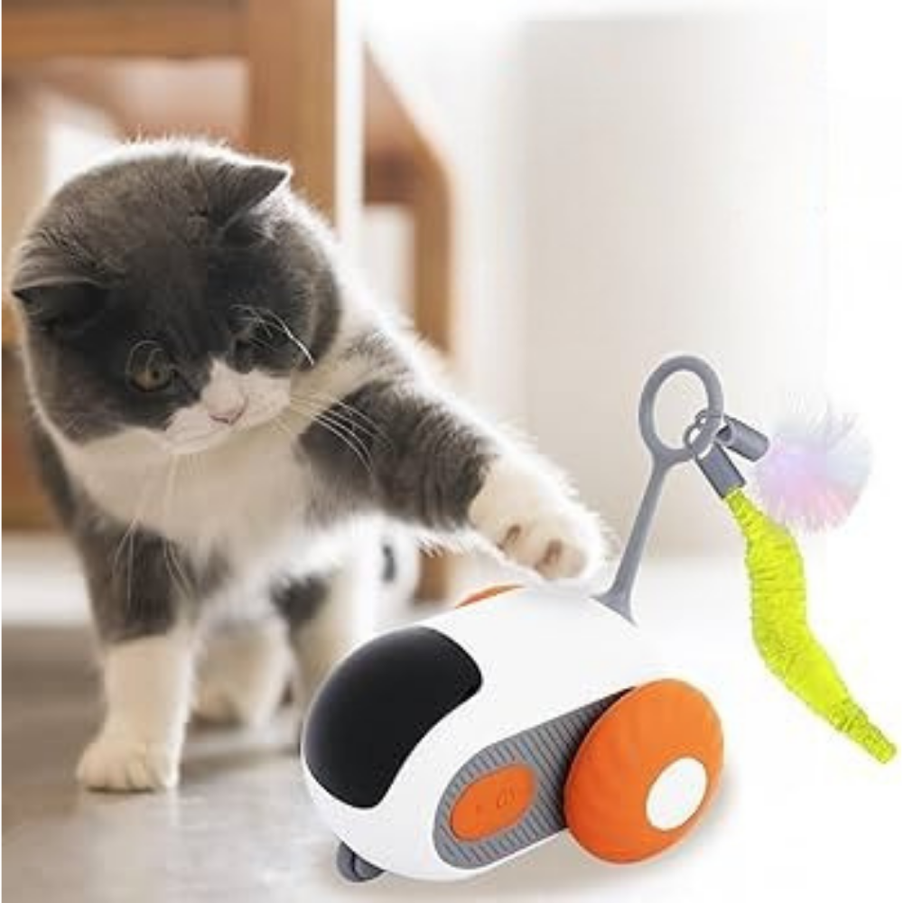 Micky™ - Gioco Interattivo per Gatti in Casa - Anti stress & Anti Noia