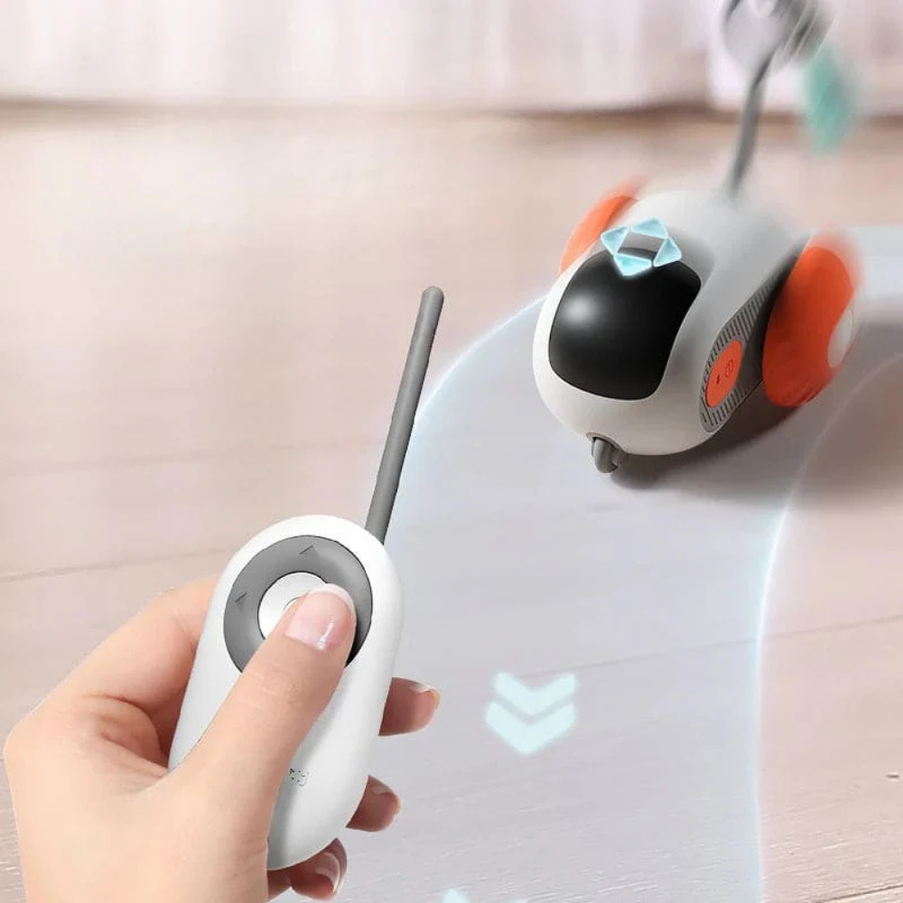 Micky™ - Gioco Interattivo per Gatti in Casa - Anti stress & Anti Noia