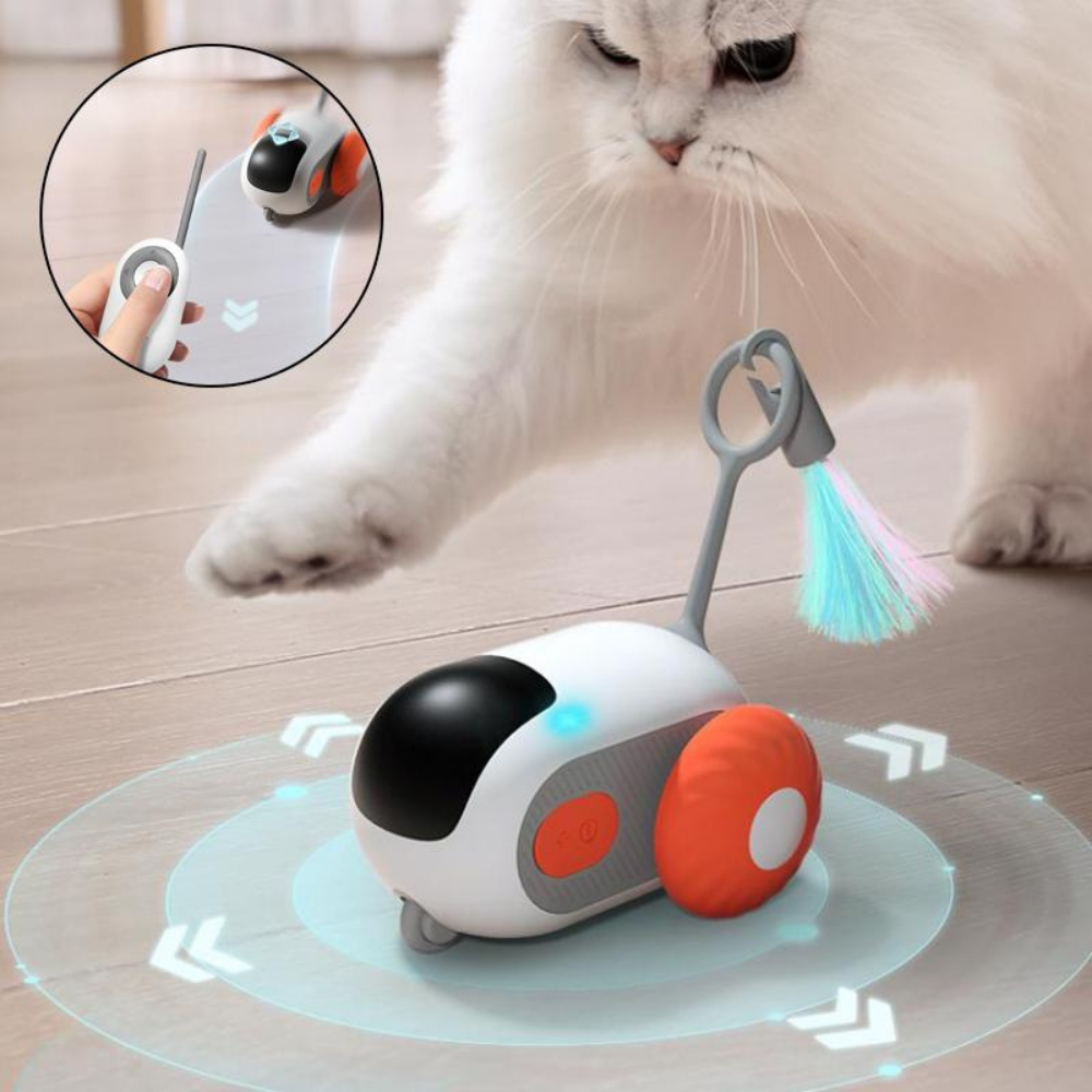 Micky™ - Gioco Interattivo per Gatti in Casa - Anti stress & Anti Noia