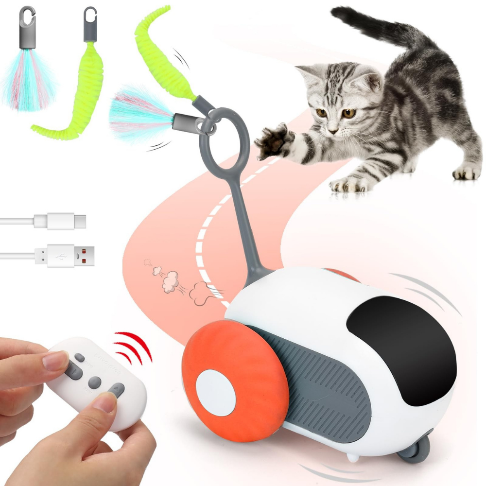 Micky™ - Gioco Interattivo per Gatti in Casa - Anti stress & Anti Noia