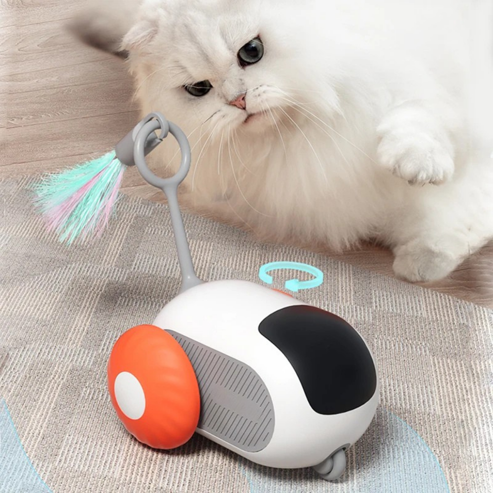 Micky™ - Gioco Interattivo per Gatti in Casa - Anti stress & Anti Noia