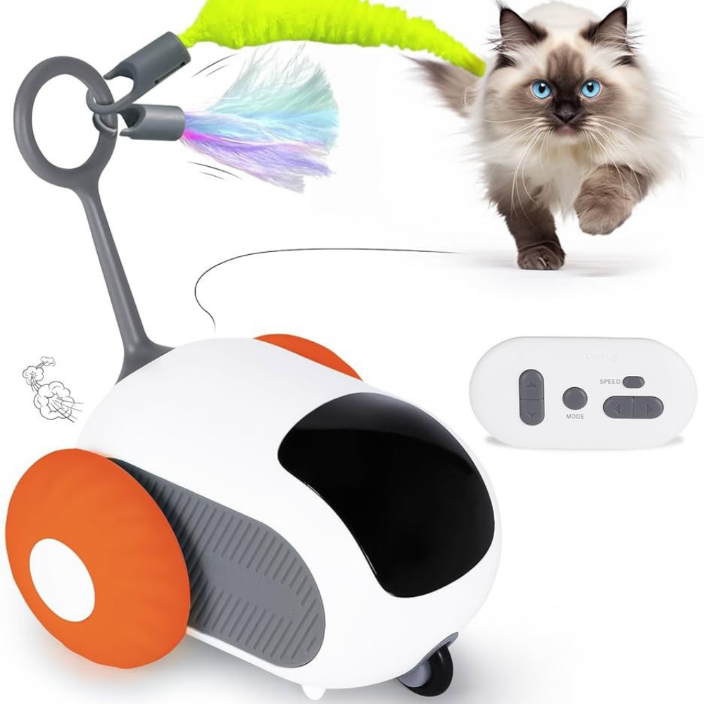 Micky™ - Gioco Interattivo per Gatti in Casa - Anti stress & Anti Noia