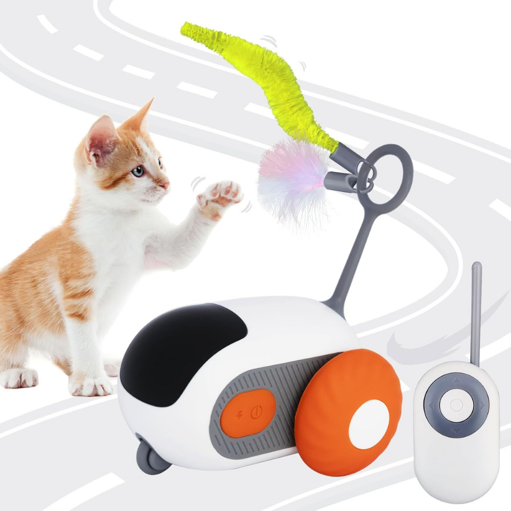 Micky™ - Gioco Interattivo per Gatti in Casa - Anti stress & Anti Noia